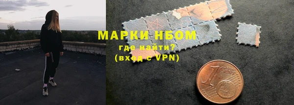 индика Нефтегорск