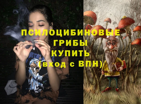 PSILOCYBIN Нея