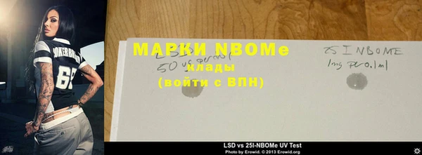 индика Нефтегорск