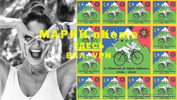 индика Нефтегорск