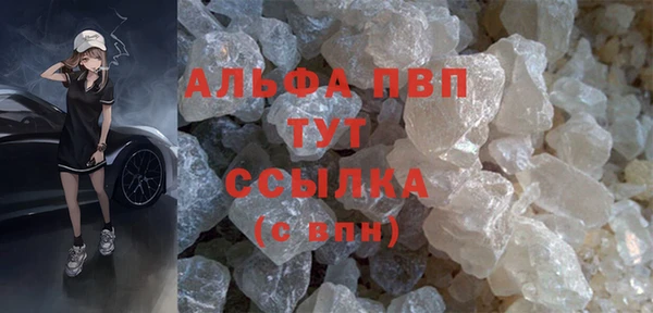 индика Нефтегорск
