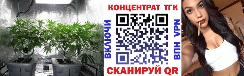 KRAKEN зеркало  Холм  Дистиллят ТГК концентрат 